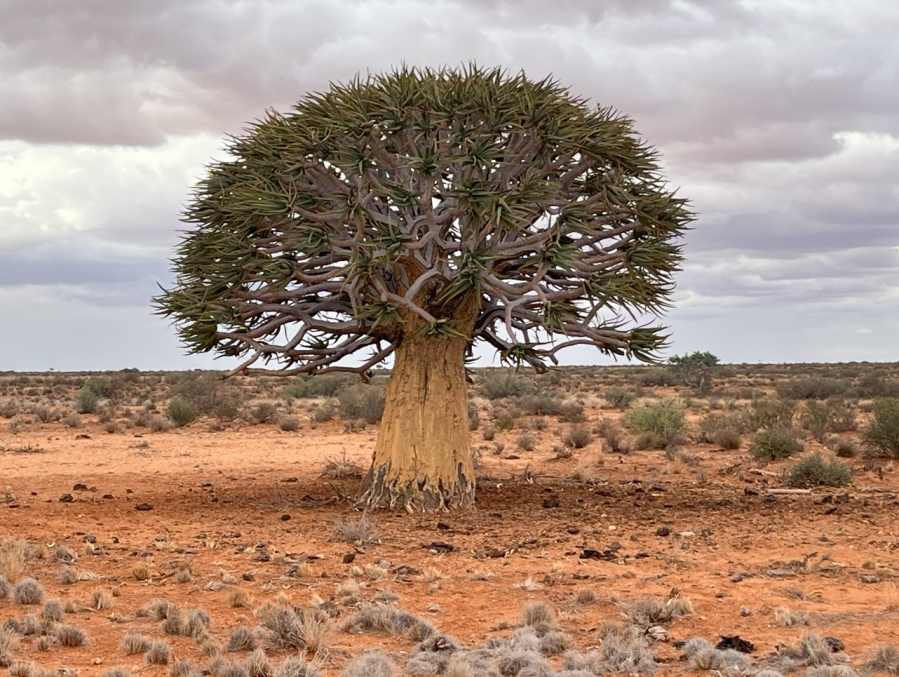 1 Bedroom Property for Sale in Kenhardt Northern Cape